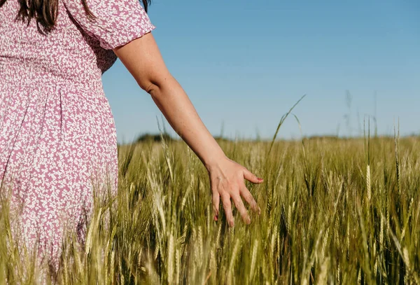 Lifestyle Image Beautiful Woman Long Hair Walking Field Touching Wheat — Stock Photo, Image