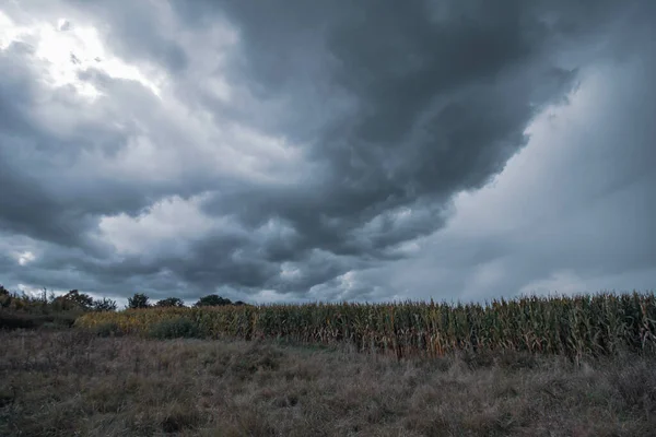 Arka Planda Bulutlu Gökyüzü Olan Kırsal Bir Arazi — Stok fotoğraf