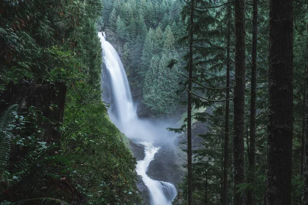 Het Prachtige Wallace Falls State Park Washington Verenigde Staten — Stockfoto