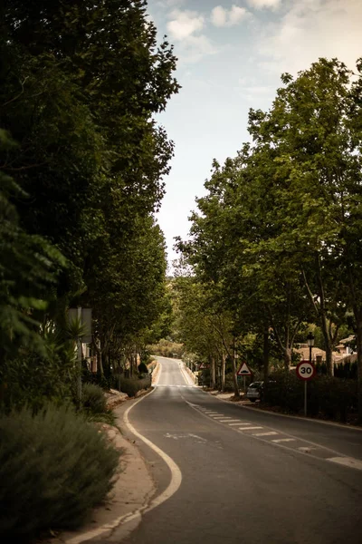 Vertikální Záběr Silnice Stromy Parky Obou Stranách — Stock fotografie