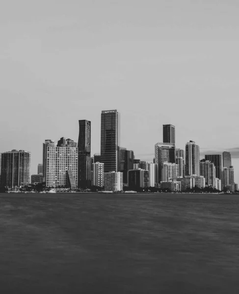 Vertical Grayscale Shot City Buildings — Stock Photo, Image
