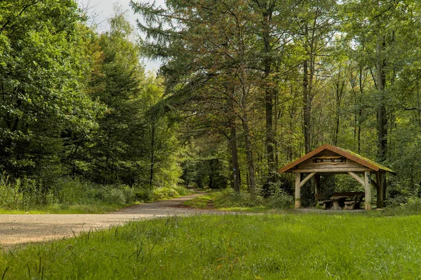 Bergisch Gladbach Alemania 2021 Una Choza Madera Bosque Día Soleado —  Fotos de Stock