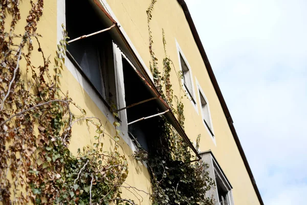 曇った空の下で黄色の建物に忍び寄る植物の低角度ショット — ストック写真