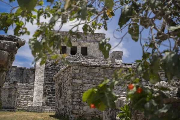 Yucatan Eski Tül Kalıntıları — Stok fotoğraf