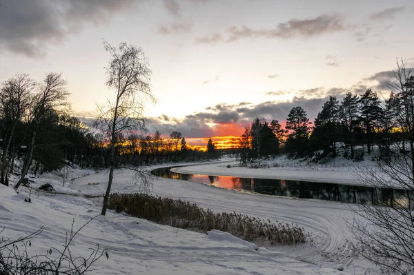 Прекрасный Зимний Пейзаж Дневном Свете — стоковое фото