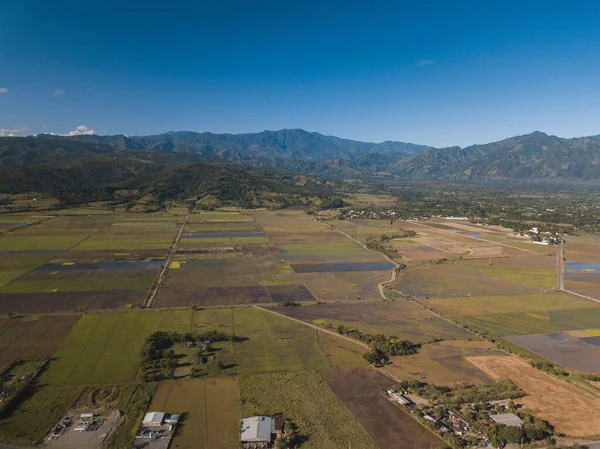 Paesaggio Una Città Ricoperta Verde Sotto Luce Del Sole Cielo — Foto Stock