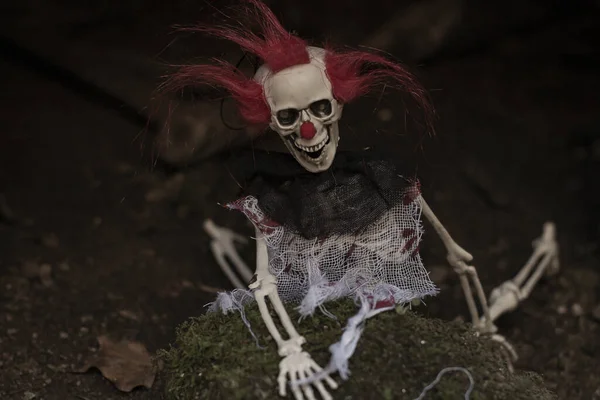 Egy Ijesztő Halloween Csontváz Vörös Hajjal — Stock Fotó