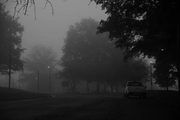 Серый Кадр Автомобиля Дороге Окруженной Деревьями — стоковое фото