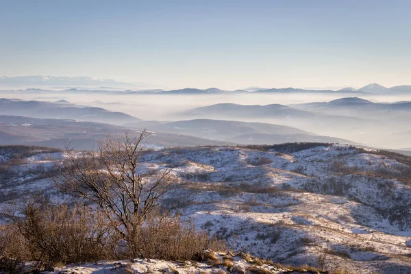 Vacker Utsikt Från Basara Topp Serbien — Stockfoto