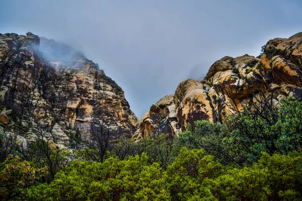 Une Vue Fascinante Des Formations Rocheuses Élevées Sur Forêt Verte — Photo