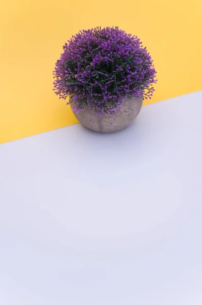 Planta Con Flores Jarrón Terracota Con Flores Color Lila Sobre — Foto de Stock