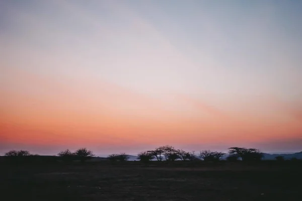 Krásný Západ Slunce Nad Keňským Safari Polem — Stock fotografie
