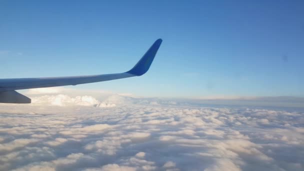 Ala Del Avión Volando Sobre Las Nubes — Vídeo de stock