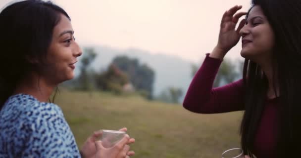 Two Women Enjoying Picnic Park Drinking Wine — Stockvideo