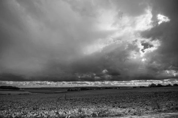 Eine Graustufe Mit Land Und Wolkenverhangenem Himmel Hintergrund — Stockfoto