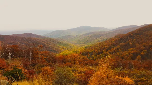 Hermoso Paisaje Lugar Natural Desde Cima Montaña Otoño —  Fotos de Stock