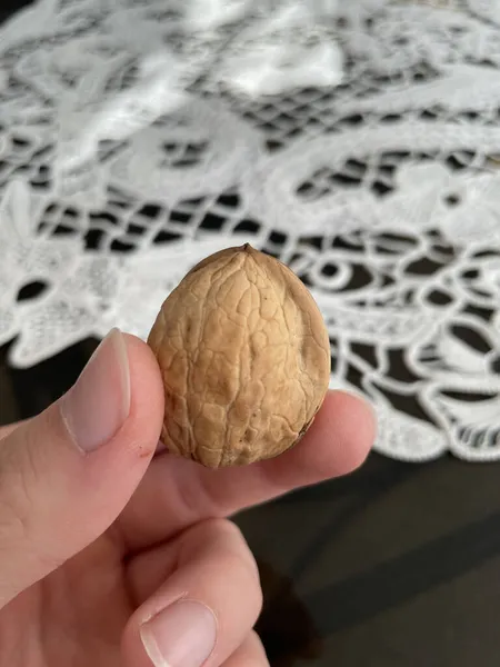 Close Uma Mão Segurando Uma Noz Fundo Toalha Mesa Branco — Fotografia de Stock