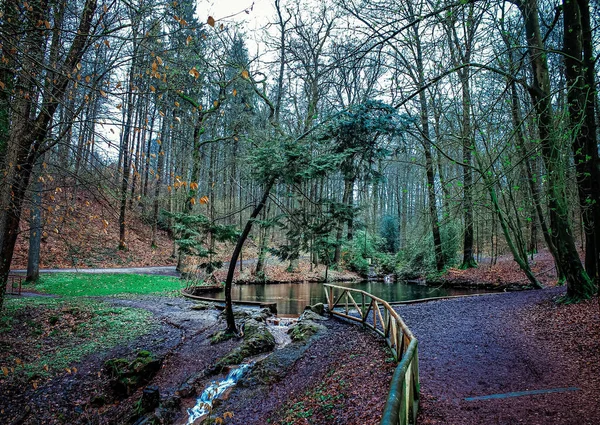 Beautiful Shot Runnel Flowing Out Pond Forest — Stock Photo, Image