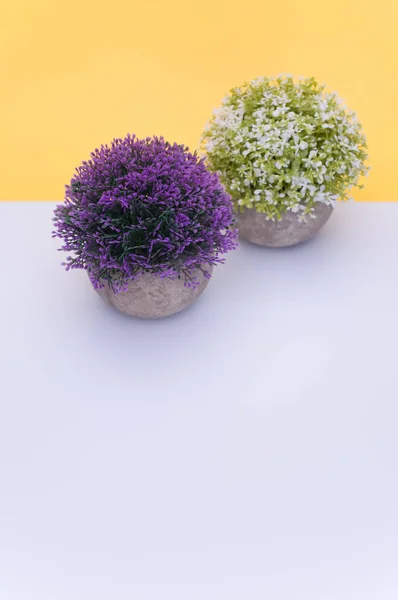 Planta Con Flores Jarrón Terracota Con Flores Color Lila Blanco —  Fotos de Stock