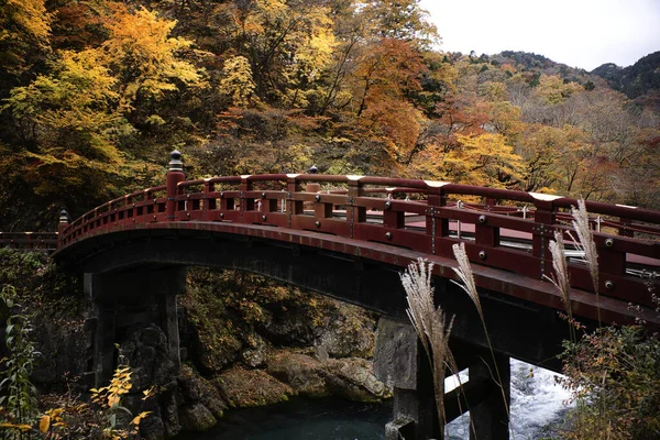 Une Belle Vue Sur Pont Dans Parc Nikko Japon — Photo