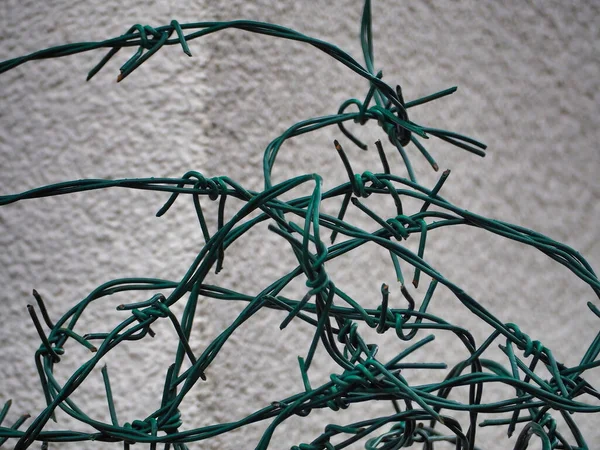 Closeup Shot Barbed Wire — Stock Photo, Image