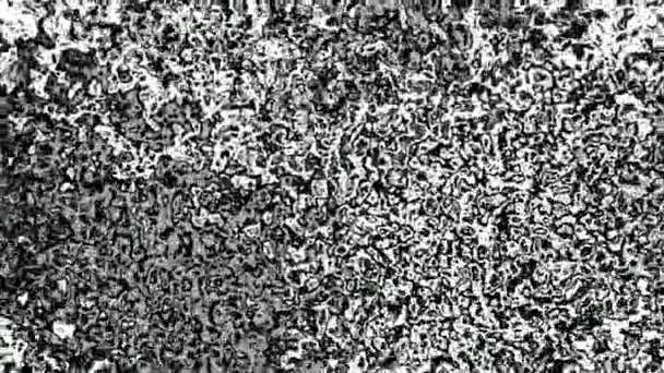 Abstraktní Černobílé Texturované Pozadí Černobílá Textura — Stock video