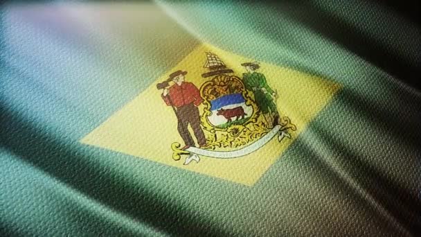 Delaware Waving Flag Animation Background — Stock Video