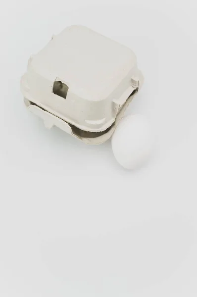 Αυγό Χαρτόκουτο Αυγό Από Ανακυκλώσιμα Υλικά Χώρο Για Κείμενο — Φωτογραφία Αρχείου