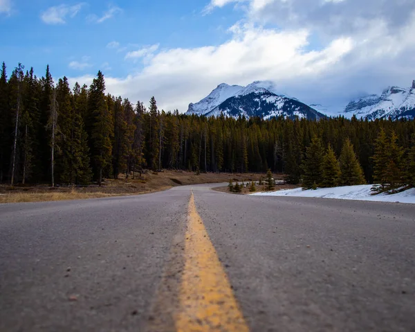 Una Strada Asfaltata Tra Alberi Verdi Sullo Sfondo Montagne Innevate — Foto Stock