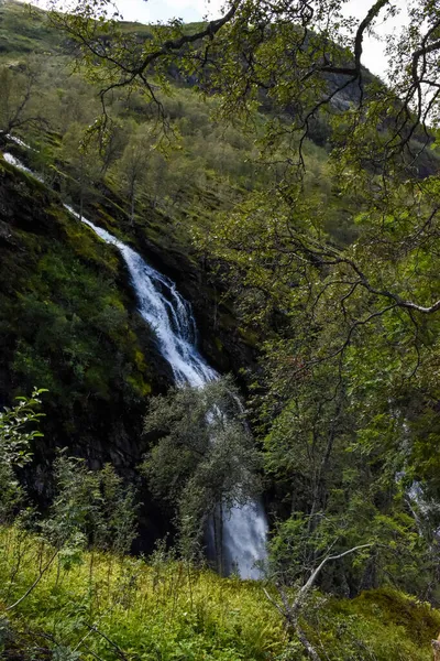 Een Verticaal Schot Van Een Waterval Een Woud Met Bomen — Stockfoto