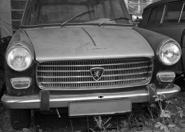 51143 Cologne Germany Jul 2021 Grayscale Shot Vintage Oldtimer Peugeot — Stock Photo, Image