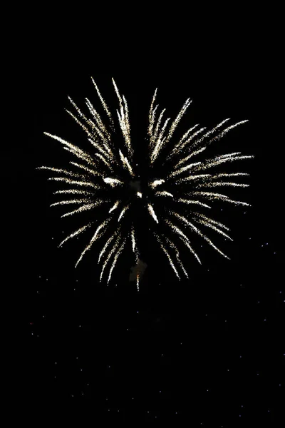 Ein Feuerwerk Der Nacht Schwarzen Himmel — Stockfoto