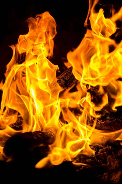 Parlak Bir Şenlik Ateşinin Dikey Çekimi — Stok fotoğraf