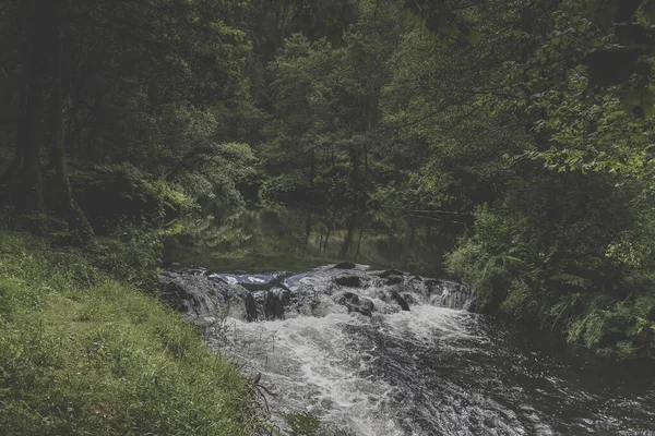 초록빛으로 둘러싸인 흐르는 강물의 아름다운 — 스톡 사진
