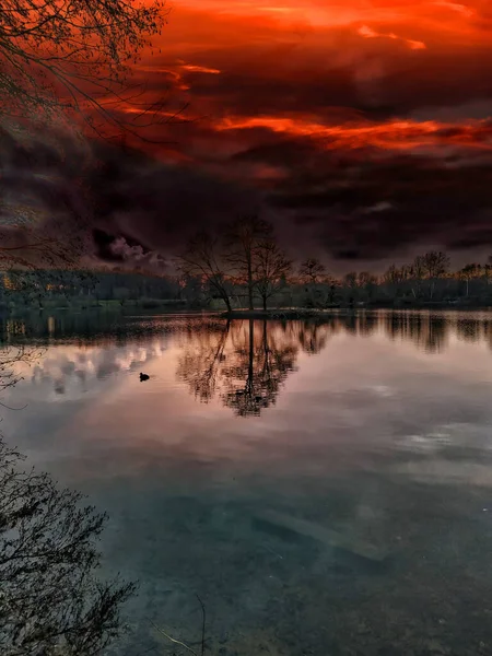 夕日の間 暗い赤い雲の下の水面に反射された乾燥した葉のない木々の垂直ショット — ストック写真