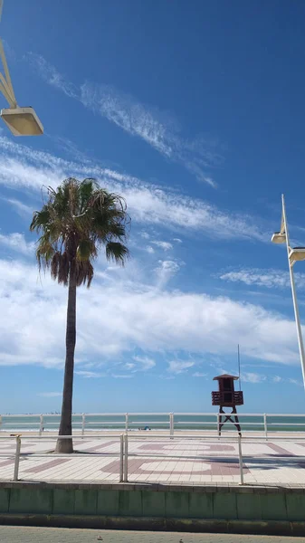 Malebný Výhled Dřevěné Molo Palmu Plaveckou Věž Oblačného Dne — Stock fotografie
