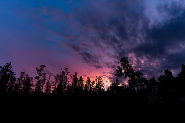 Fascynujący Widok Gęstego Lasu Malowniczym Zachodzie Słońca — Zdjęcie stockowe