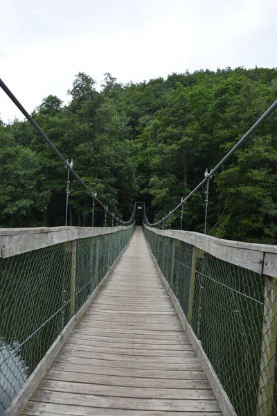 Plano Vertical Viejo Puente Peatonal Colgante Con Suelo Madera Bosque — Foto de Stock