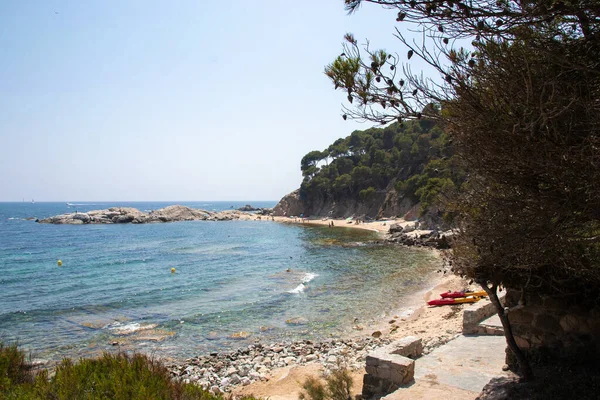 Ein Schöner Blick Auf Einen Strand Mit Einer Reihe Tropischer — Stockfoto