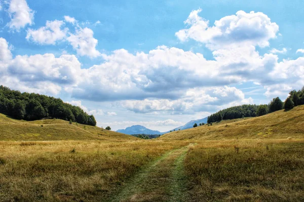 Beautiful Summer Landscape Fresh Green Grass Blue Sky White Puffy — Φωτογραφία Αρχείου