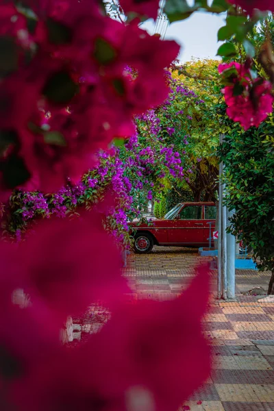 从花园的花朵中挑选出的一辆经典的红色轿车 — 图库照片