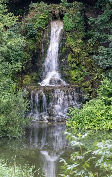Ein Schöner Blick Auf Einen Wasserfall Zwischen Grünen Büschen Und — Stockfoto