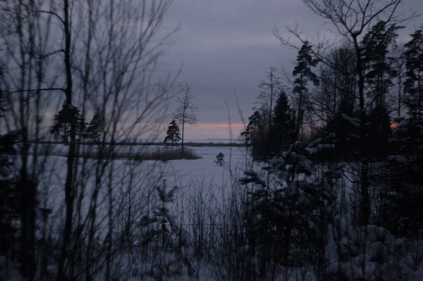 Gün Işığında Güzel Bir Kış Manzarası — Stok fotoğraf