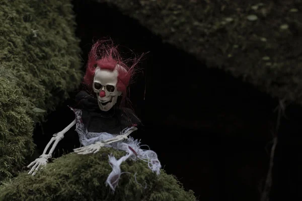 Esqueleto Halloween Aterrador Con Pelo Rojo — Foto de Stock