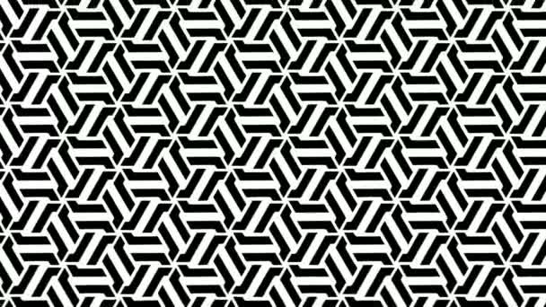 Vector Seamless Pattern Modern Style Texture Repeating Geometric Tiles Monochrome — Stock Video