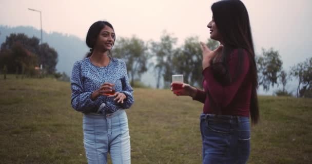 Two Women Enjoying Picnic Park Drinking Wine — Video