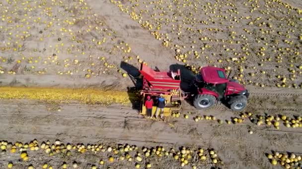 Tarım Arazisinin Tarlasını Süren Traktör — Stok video