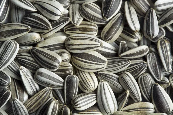 Closeup Shot Roasted Sunflower Seeds — Stock Photo, Image