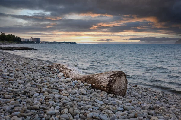 Een Grote Boomstam Het Rotsachtige Strand Tegen Een Bewolkte Lucht — Stockfoto