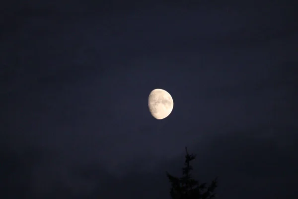 Kuu Yötaivaalla — kuvapankkivalokuva